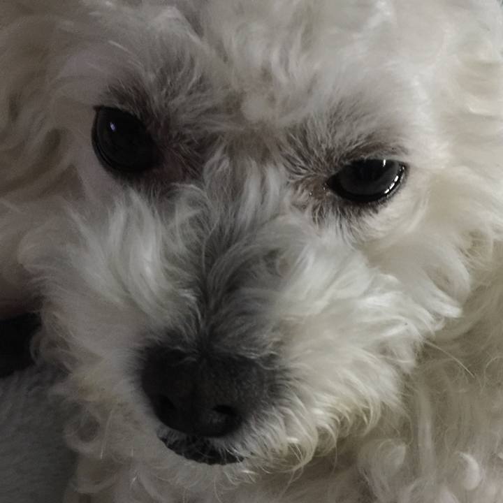 96c59cd0 3e8c 4ccc b5a4 5202b8e92f54