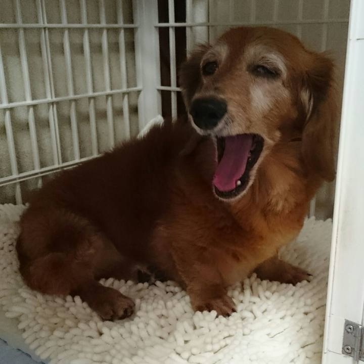 96c61f90 8647 4658 9065 95edfd6ef73a