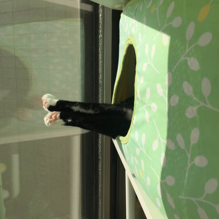 96c6e51d 2966 4d91 ad06 1c6c577f902e