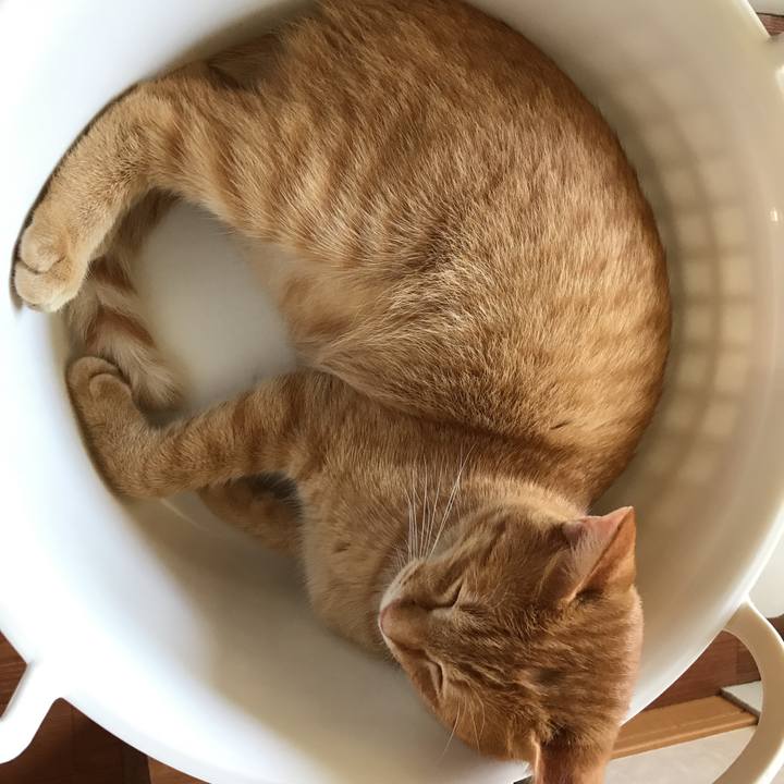 96c70435 9dcd 4d43 a393 4a193660b75c