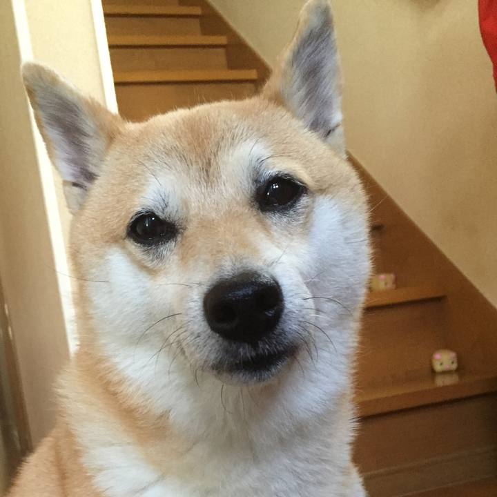 96c742a8 6bba 4e7a 9b78 7529763b1adf