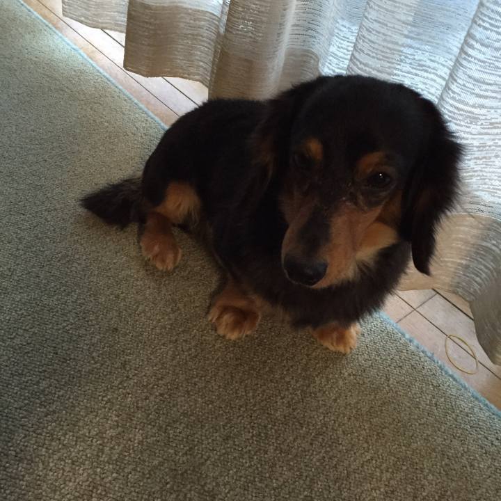 96c87b2e 908d 414a 93fb 8315d407eb10