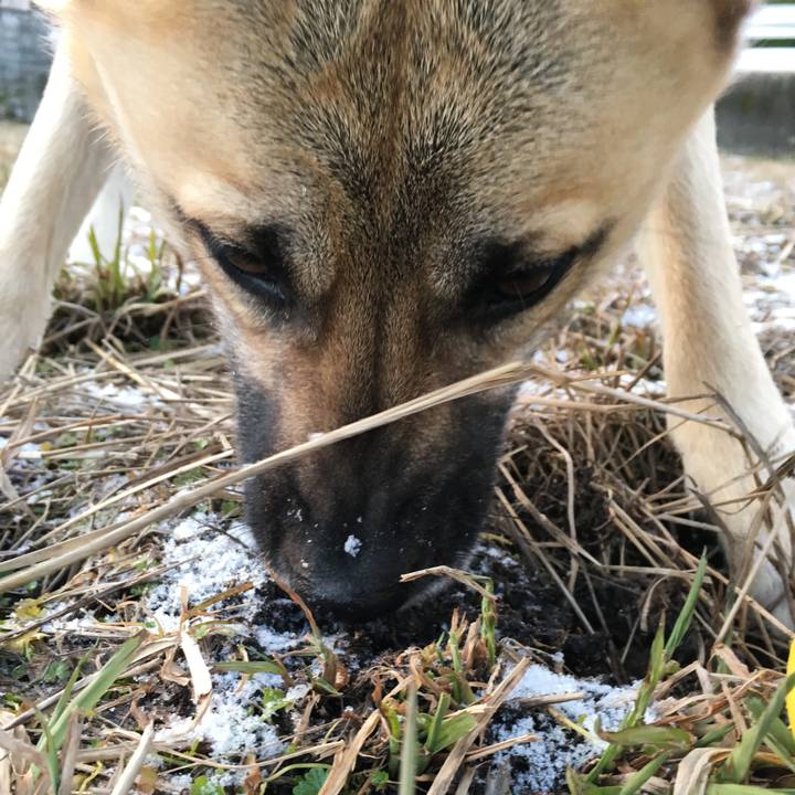 96c8af20 b0ea 4d15 8f10 712c331c572c