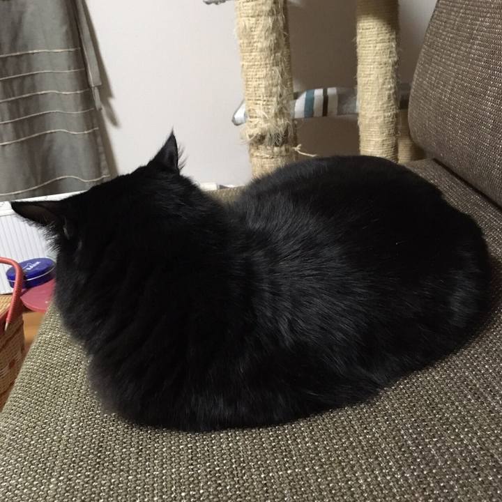 96c8e62a 8b2b 41df 89f2 35d34f9cf60d