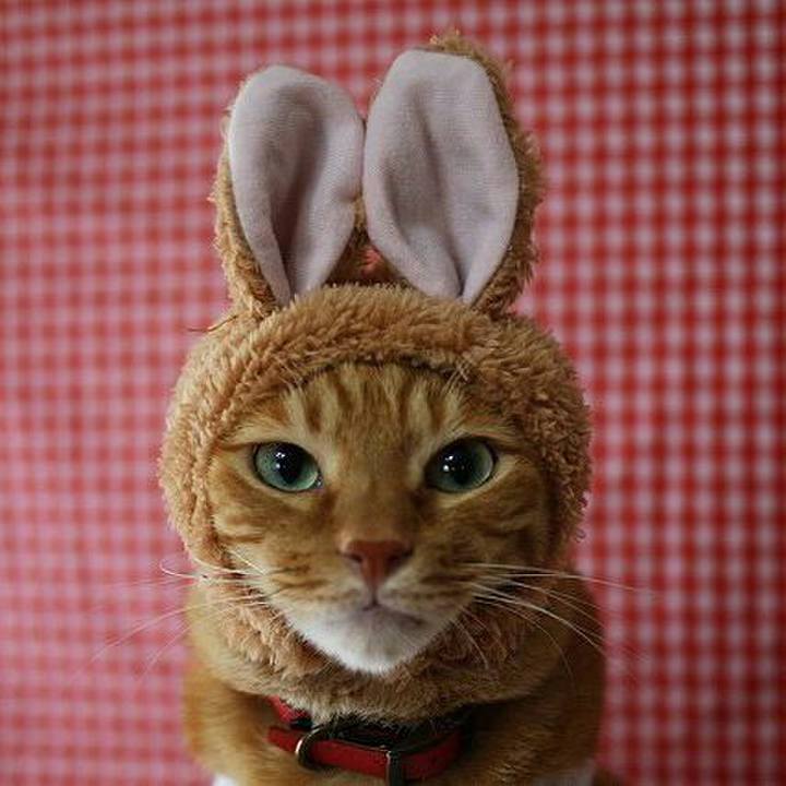 96c908b5 9b06 4d82 8d4f ba1d7b33cc98