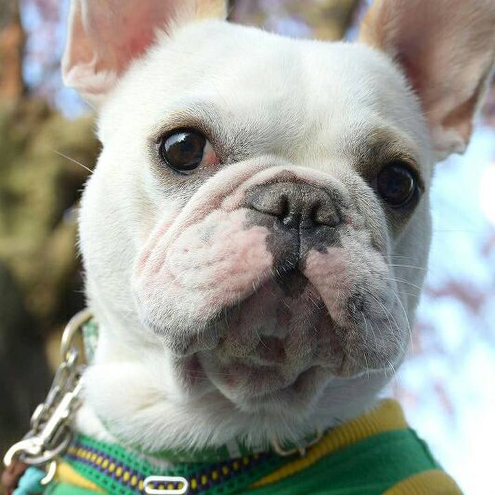 96cb0ccf c5d9 4a2b 9a35 7a4888aba587