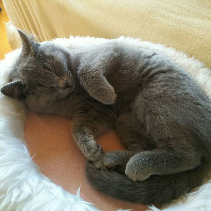 96cb8078 0752 4e05 9bcd ec92a8af024b