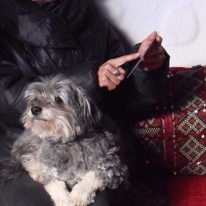 96cbd8dc ce13 45bb ab0b c826c365c941