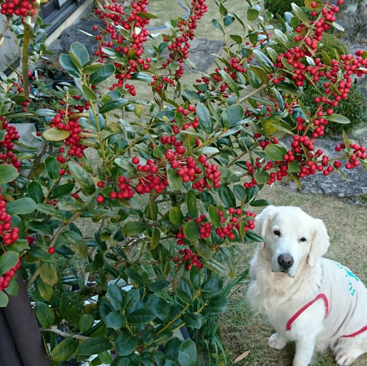 96cbe822 1c03 4376 928a 192560da6c50