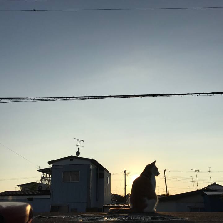 96cbe9b5 27b6 406c 9e92 114ad5a83458