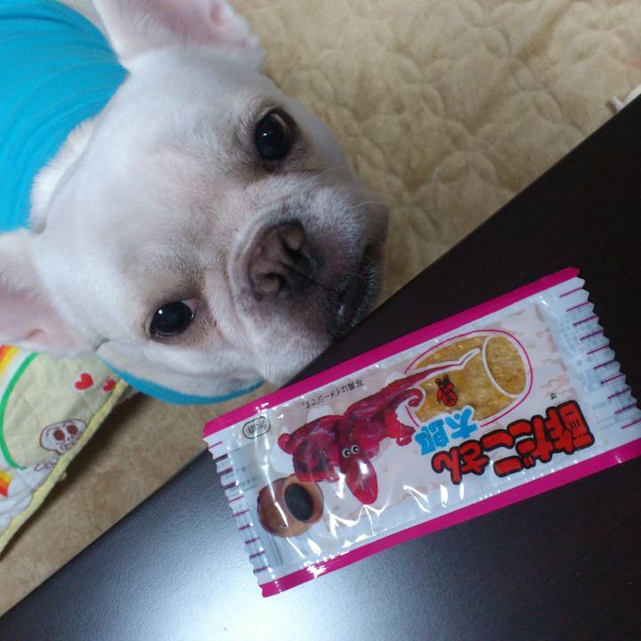 96cc2ea8 52a8 455a 80de a2f933c9515b