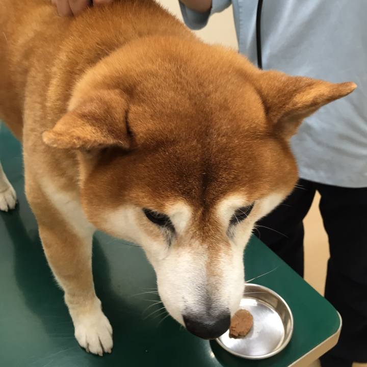 96ccdbeb 43e8 4abe 9c3d 346d16e5850b