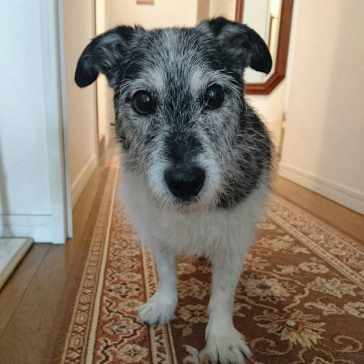 96cd0fca b840 4df3 b8dc abfda5ec3d37