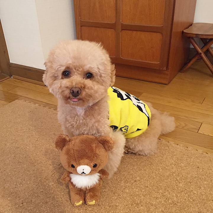 96cd10c5 520b 455c 9e1a a95b8b0be1f8