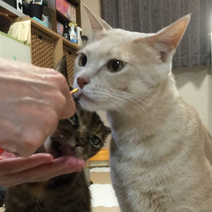 96cd2e6d 5dd2 4479 a938 249223cd0e86