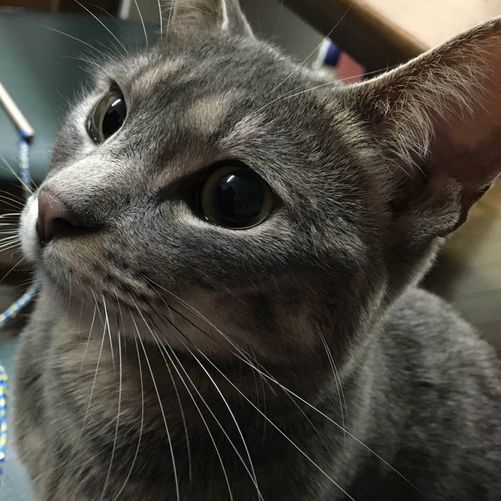 96cd95c2 af28 48c8 a12c 41e53eec4489