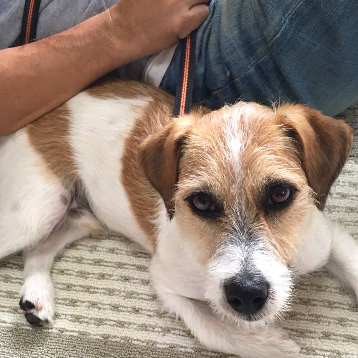 96cdde01 1016 4163 8fab 0aff0f631bf1