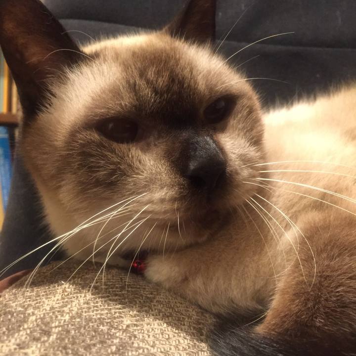 96ce408a 9e70 4dc5 b958 3c29ebe1ae45