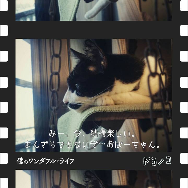 96ce567c c527 4f6b 8c7a e3a8305c3745
