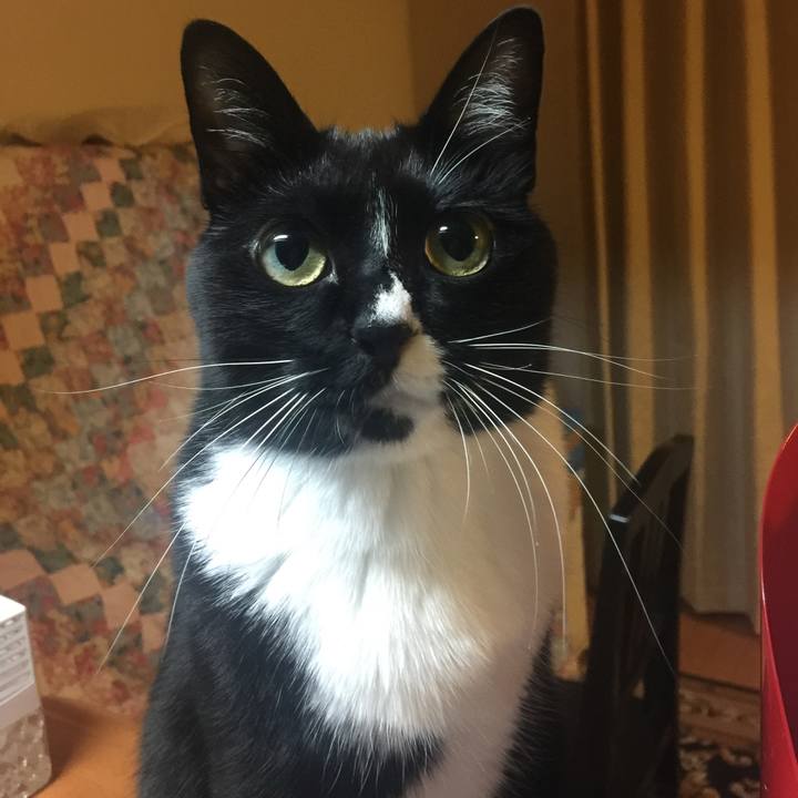 96ce7809 4529 42cb 9e3f e93caf0b7941