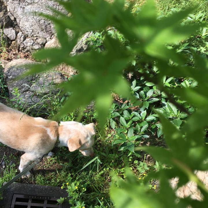 96cef8f9 3e25 4fcc 8387 6c75d8aaf11d