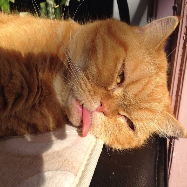 96cf7c74 3d2b 4267 be11 933b50156365