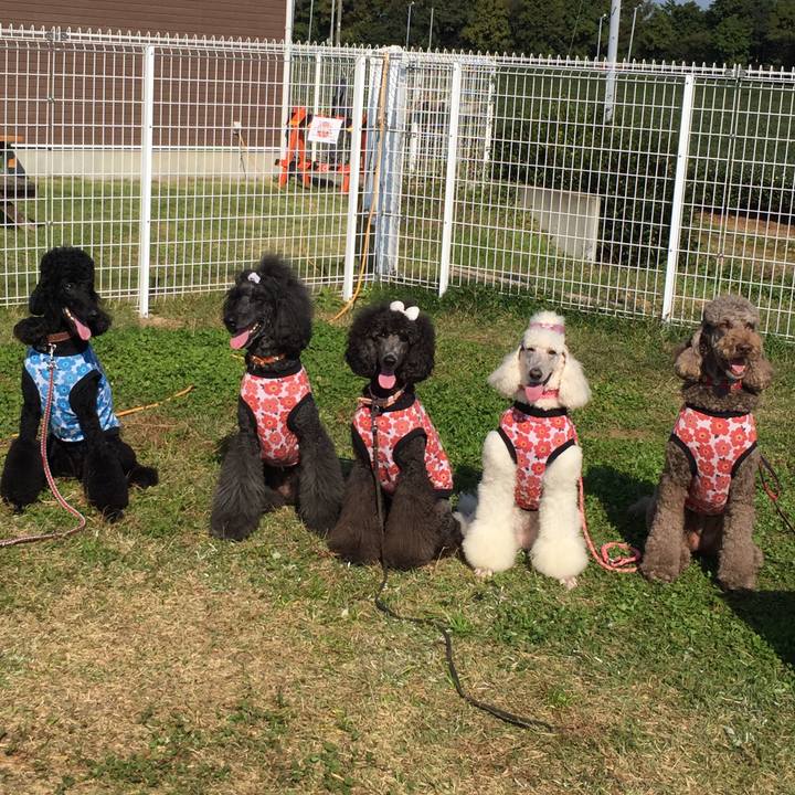 96cfaa1e d616 46de b708 9dee241dda8e