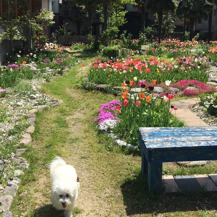 96cfe731 e032 4aad 9397 e2233778fb67