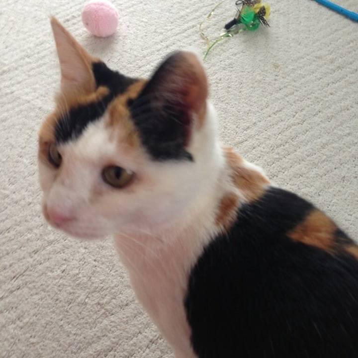 96cffe96 e47b 44d2 ab8e 262b79c57445