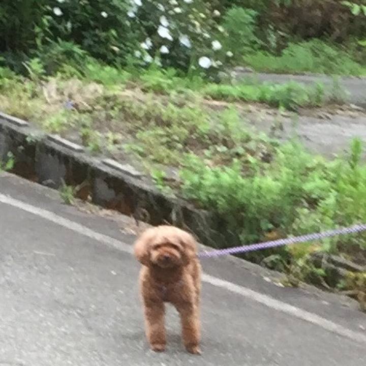 96d06840 4012 40af a5e5 300fbe2bf160