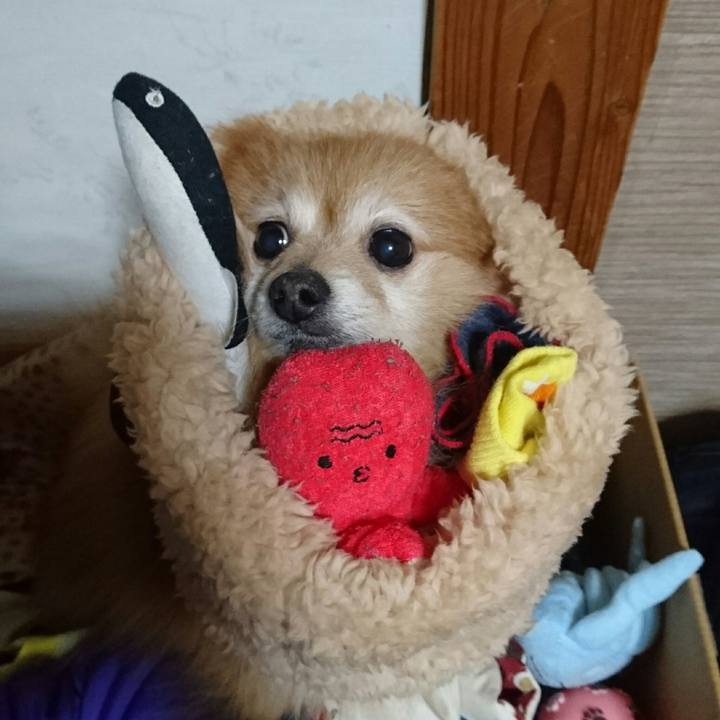 96d0e385 21da 44ac b616 e8ec40ccc024