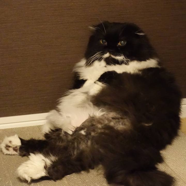 96d0f4b2 0f4d 4b1c ba64 58bc8d0389b1