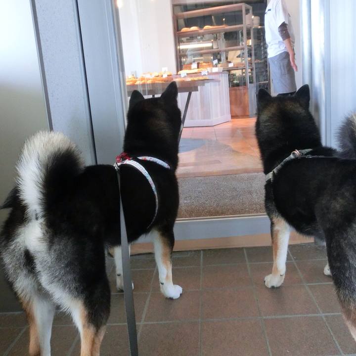 96d11525 4cb5 4e48 b354 59597382faec