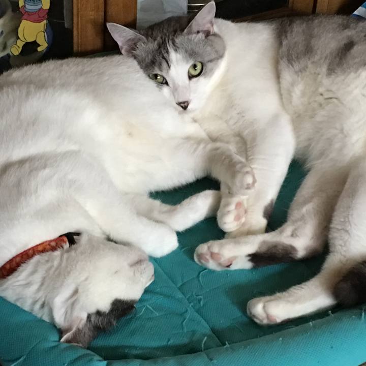 96d13f3c 8e22 4c12 abd6 21364dfcec75