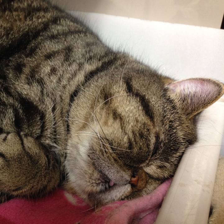 96d19aef 7cf0 453d 80d8 9f6563d95095