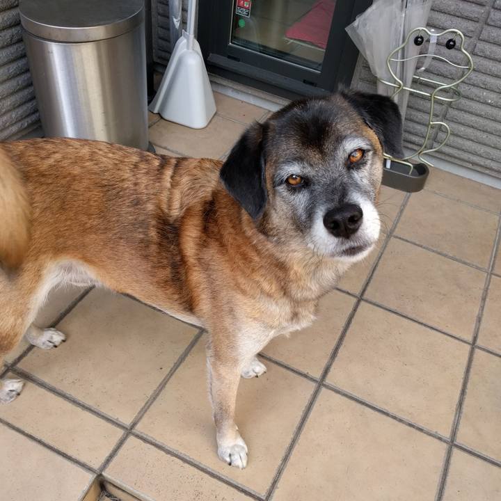 96d29c0e 8039 4933 8564 b9b34c3fcf0d