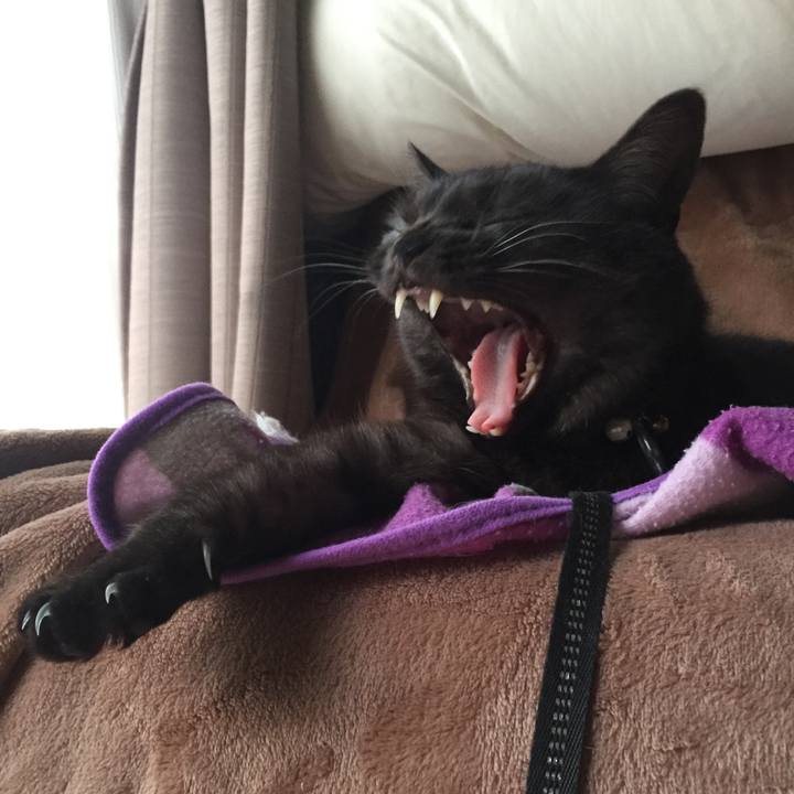 96d34380 a5e4 46e1 962a ccad113a0e35