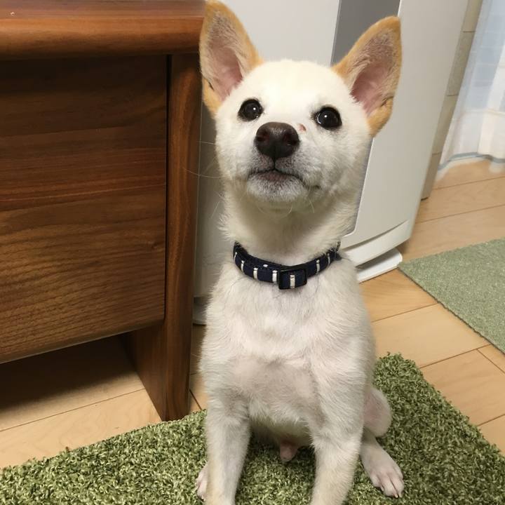 96d373b2 04dd 4e8c 8334 00c6ce0a4007