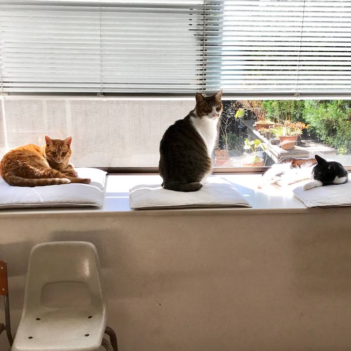 96d3c327 5637 4b61 a0f1 8c6d8c249a19