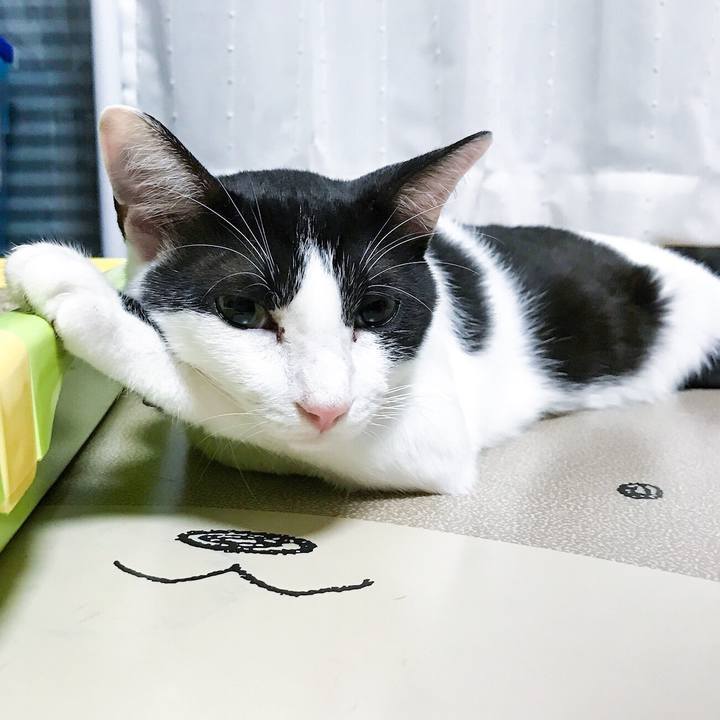 96d3e2aa b9f9 4b37 ac83 a4e2c7c9bb11