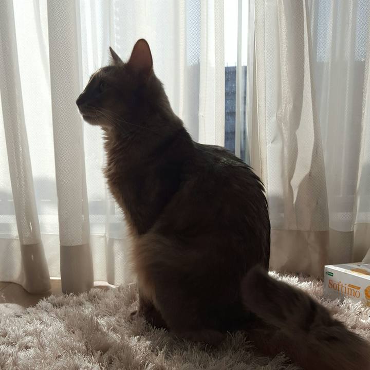 96d474b9 763b 4a62 9690 f00b0ed213d6