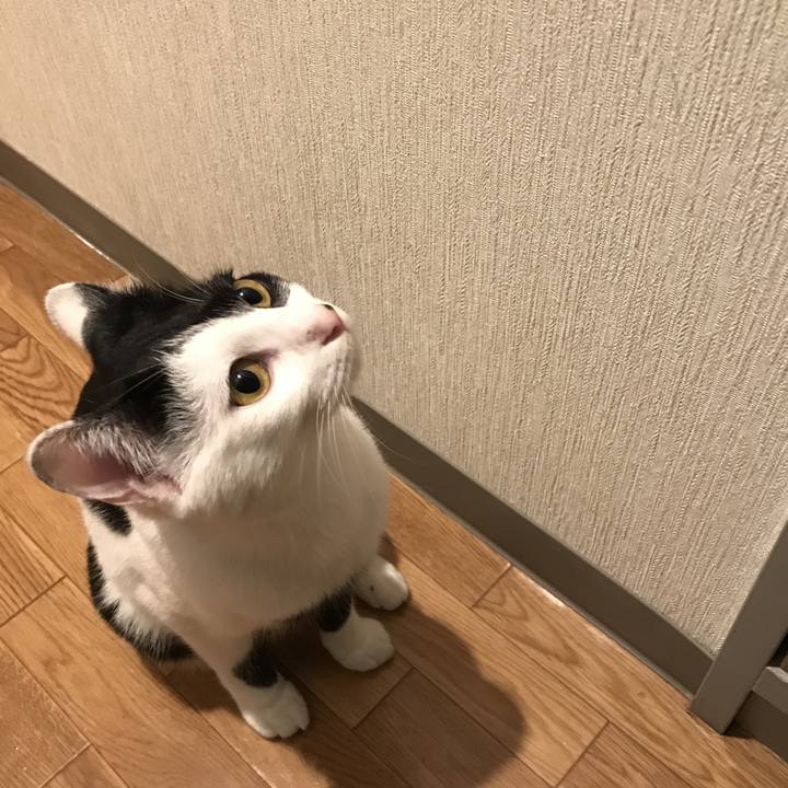 96d4cb59 381b 484c a764 8e2ff498dfd7