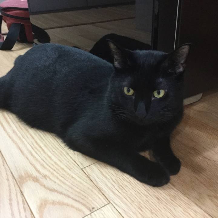 96d62677 02b3 43c7 a393 e9575904bb17