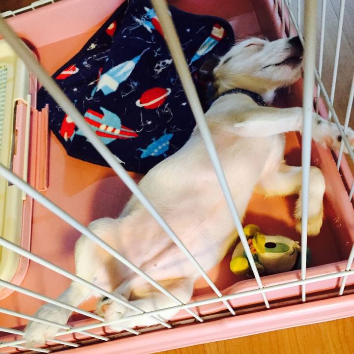 96d69120 e674 4996 a9c5 ea9445a38550