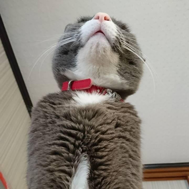 96d6a9be 8842 42e0 aee8 352ae50719ca