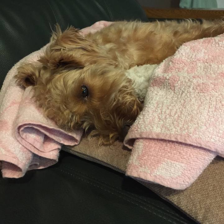 96d6c072 43cc 4e8c 9c17 d07de2935ec4