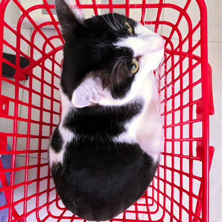 96d6d1ca c65a 4ec9 9eba 272a9d7f9d79