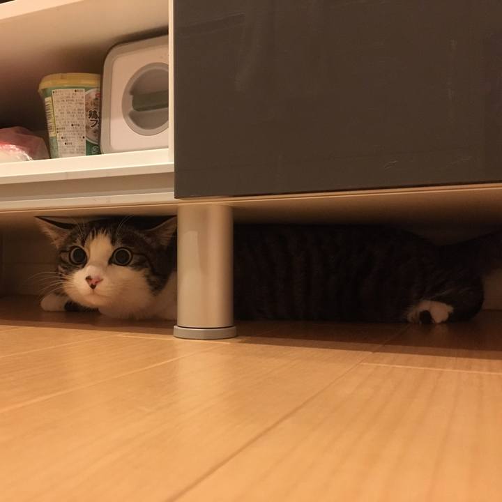 96d71622 6269 461c 8c26 2aa0ec87ce98