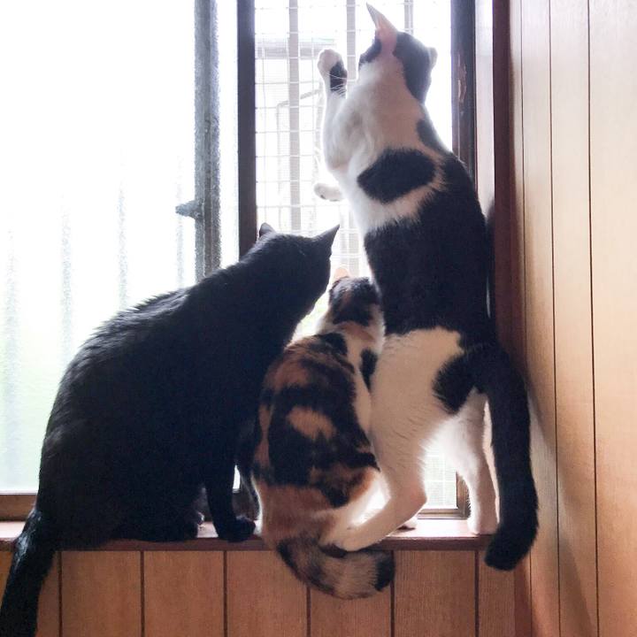 96d7da2a 8b02 4d2e b301 573fe016c8f3