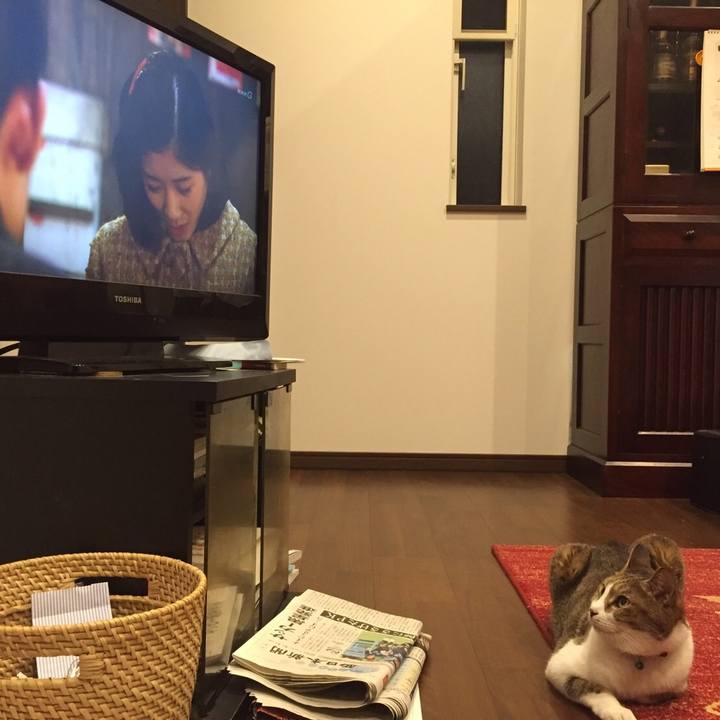 96d83059 26af 4843 9059 d1b2b4d87050